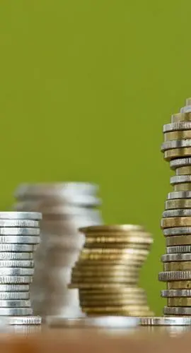 Stacks of variously sized coins are arranged against a green background.