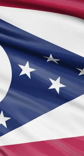 A flag features a blue field with white stars, red and white stripes, and a large white circle on a blue triangle.