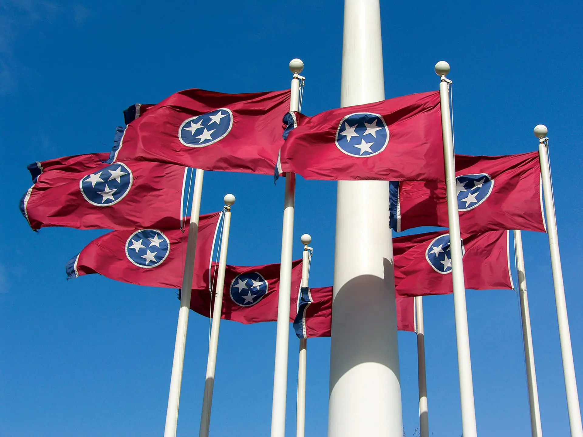 Samsung Digital Camera