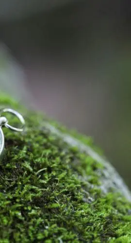A compass rests on a moss-covered surface, suggesting navigation or adventure in a natural setting.