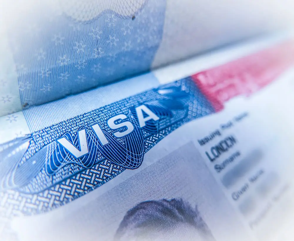 A close-up of a visa document shows intricate patterns and security features, including text and a portion of a photograph.