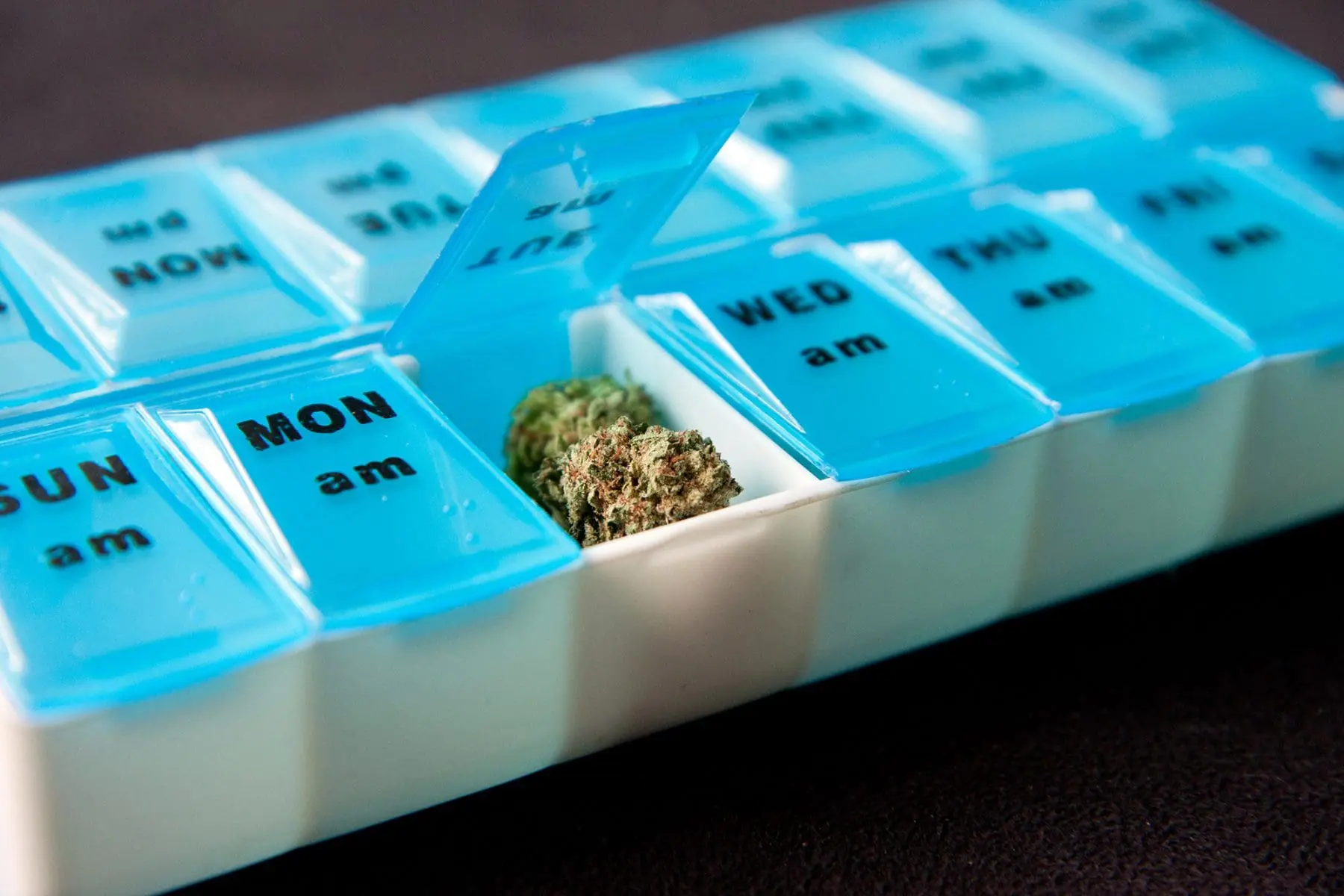 A pill organizer contains a single compartment open with a substance that appears to be cannabis.