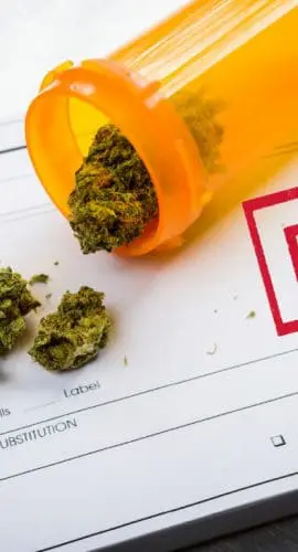 Medical Marijuana Laws: "Part 2"