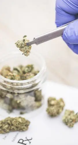 Medical Marijuana "RX" Prescription