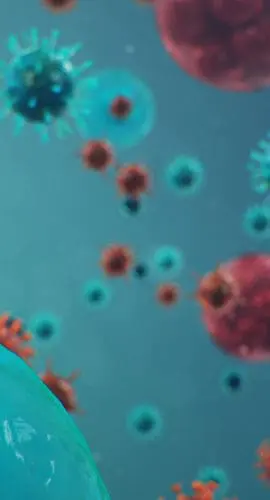 Floating viruses and cells are depicted with a variety of shapes and colors in a microscopic view.