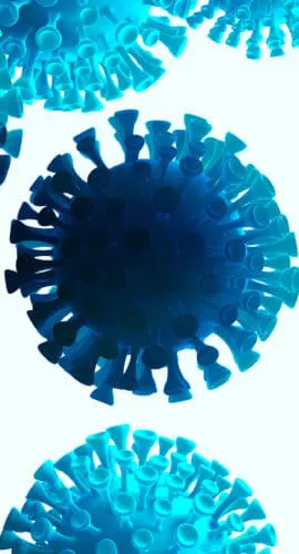 Blue virus-like structures are depicted against a white background.