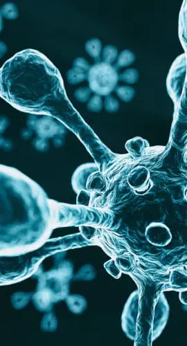 The illustration shows microscopic views of virus-like particles with numerous protrusions.