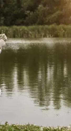 A person in a hazmat suit is collecting a water sample from a pond.