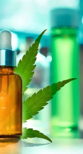A dropper bottle is placed in front of a cannabis leaf, with more bottles in the background.