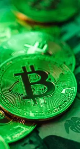 Green and white round plastic