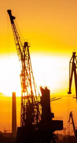 Silhouette of crane during sunset