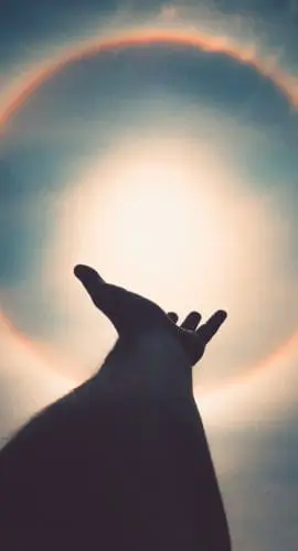 Left human hand photo