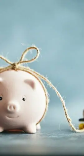 Little Pink Piggy Bank Pulling His Savings on a Skateboard