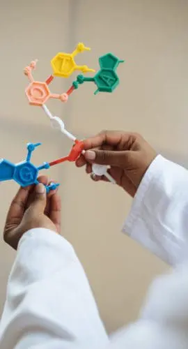Crop chemist holding in hands molecule model