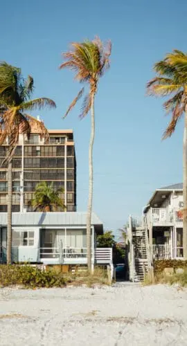 Palm trees and buildings under blue sky during daytime