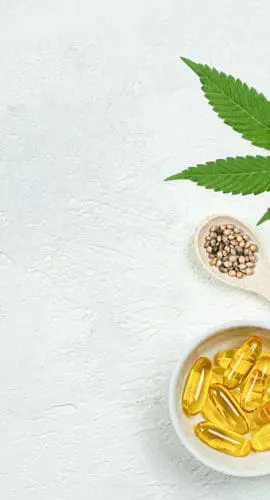 collection of hemp and CBD products on a white background