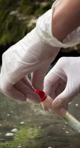 Testing water, water quality test and analysis