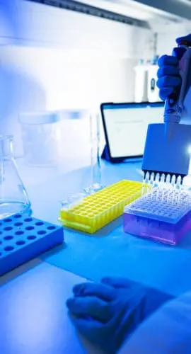 Researcher at work in DNA genetic laboratory: virus and pathogen detection