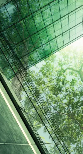 Sustainble green building. Eco-friendly building in modern city. Sustainable glass office building with tree for reducing carbon dioxide. Office with green environment. Corporate building reduce CO2.