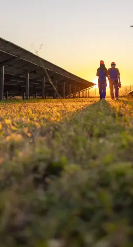 Two coworkers walking and discussing their tasks while surrounded by solar panels.