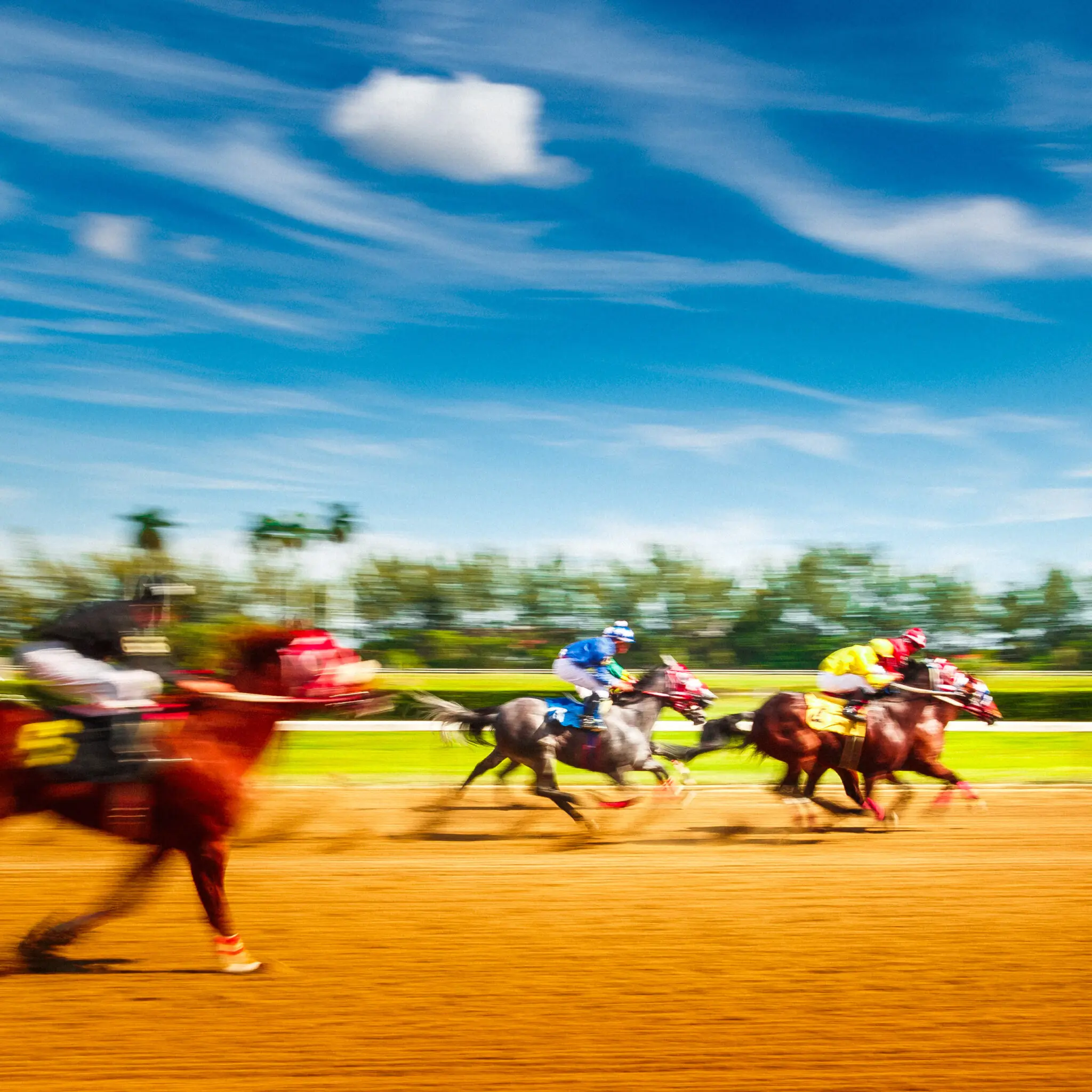 Horse Racing - Motion Blur